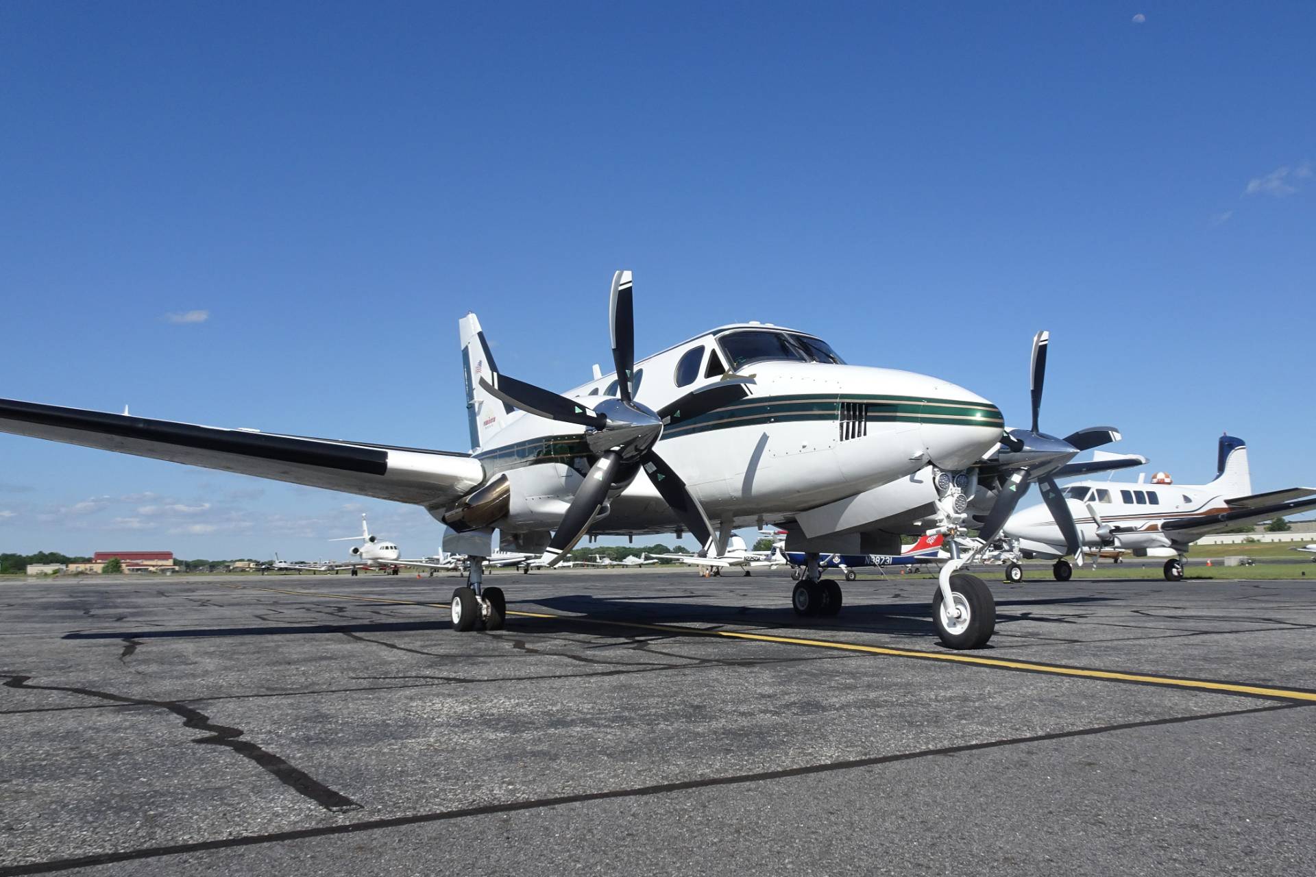 STC/stc_pic/beech_100.jpg
